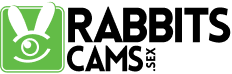 RabbitsCams logo